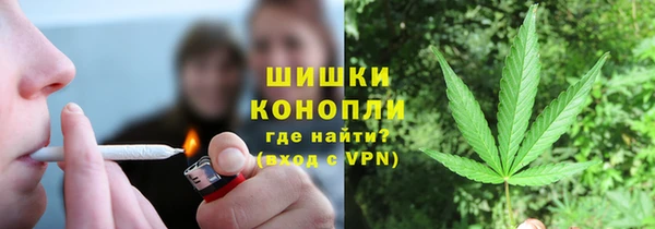 амф Бородино