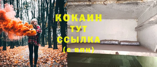 амф Бородино