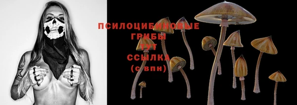 ГАЛЛЮЦИНОГЕННЫЕ ГРИБЫ Верея