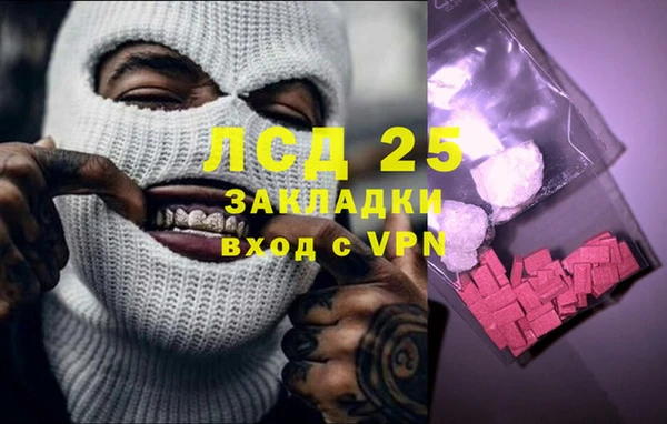 ГАЛЛЮЦИНОГЕННЫЕ ГРИБЫ Верея